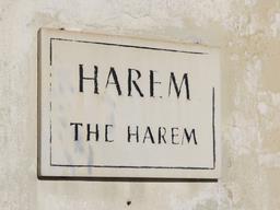 Cliquez pour agrandir l'image