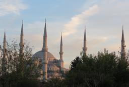 Cliquez pour agrandir l'image