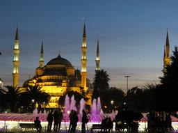 Cliquez pour agrandir l'image