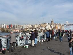 Cliquez pour agrandir l'image