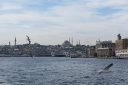 Cliquez pour agrandir l'image