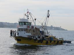 Cliquez pour agrandir l'image