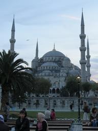 Cliquez pour agrandir l'image