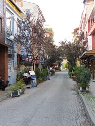 Cliquez pour agrandir l'image