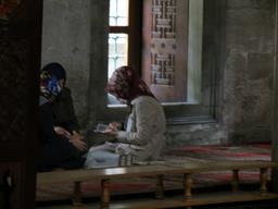 Cliquez pour agrandir l'image