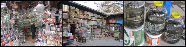 Cliquez pour agrandir l'image