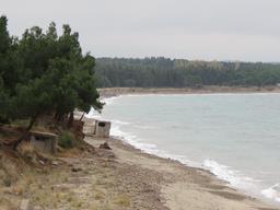 Cliquez pour agrandir l'image