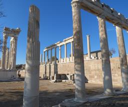 Cliquez pour agrandir l'image