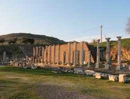 Cliquez pour agrandir l'image