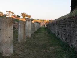 Cliquez pour agrandir l'image