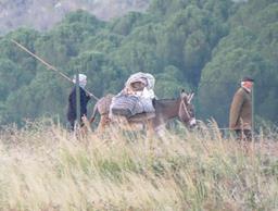 Cliquez pour agrandir l'image