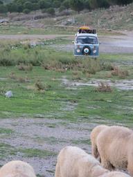 Cliquez pour agrandir l'image