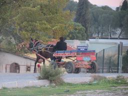 Cliquez pour agrandir l'image