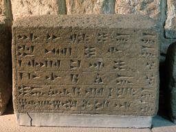 Cliquez pour agrandir l'image