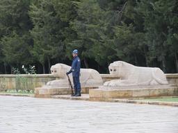 Cliquez pour agrandir l'image