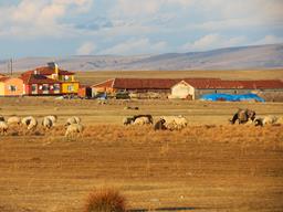 Cliquez pour agrandir l'image