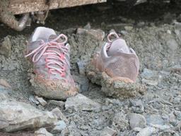 Cliquez pour agrandir l'image