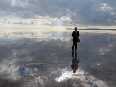 Cliquez pour agrandir l'image