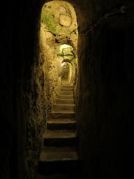 Cliquez pour agrandir l'image