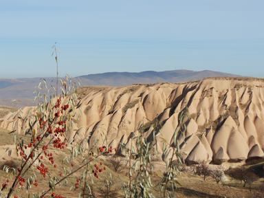 Cliquez pour agrandir l'image