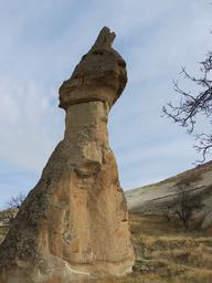 Cliquez pour agrandir l'image