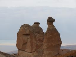 Cliquez pour agrandir l'image Cliquez pour agrandir l'image