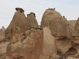 Cliquez pour agrandir l'image