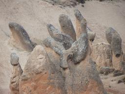 Cliquez pour agrandir l'image Cliquez pour agrandir l'image