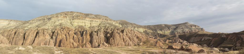 Cliquez pour agrandir l'image