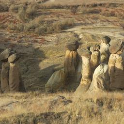 Cliquez pour agrandir l'image