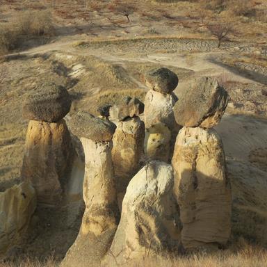 Cliquez pour agrandir l'image